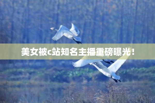 美女被c站知名主播重磅曝光！