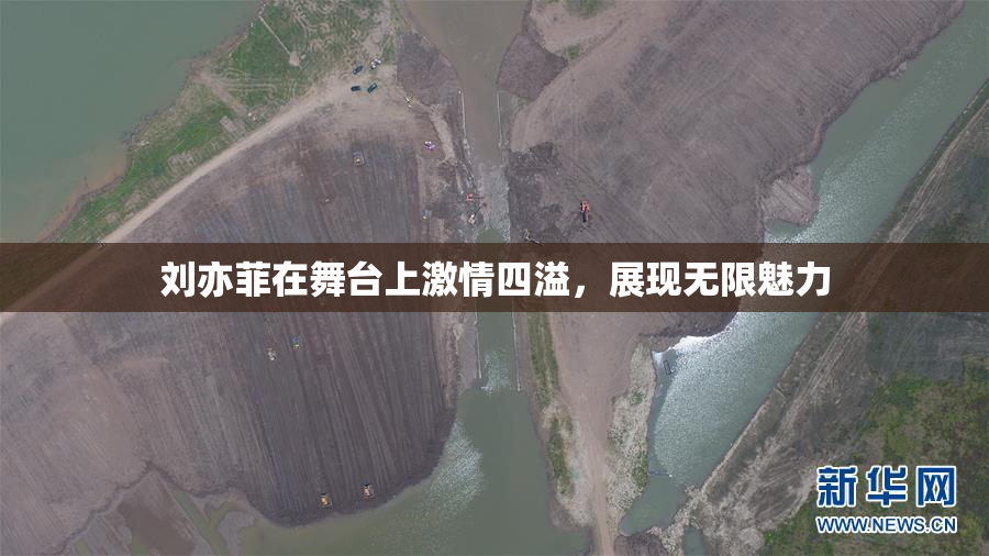 刘亦菲在舞台上激情四溢，展现无限魅力