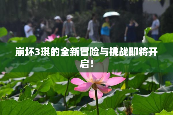 崩坏3琪的全新冒险与挑战即将开启！
