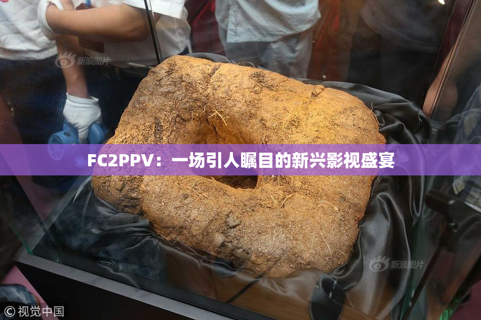 FC2PPV：一场引人瞩目的新兴影视盛宴