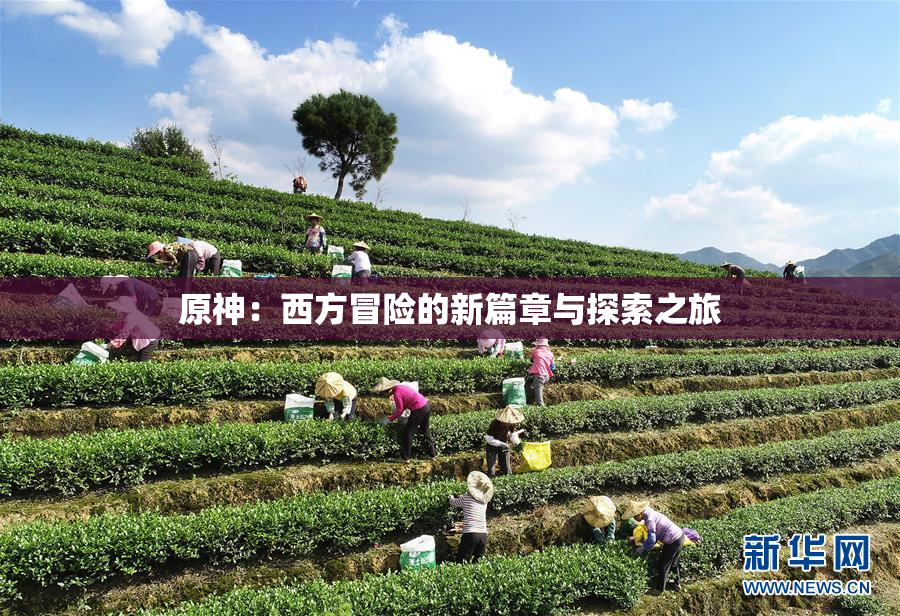 原神：西方冒险的新篇章与探索之旅
