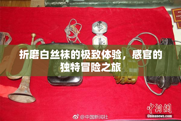 折磨白丝袜的极致体验，感官的独特冒险之旅