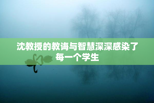 沈教授的教诲与智慧深深感染了每一个学生