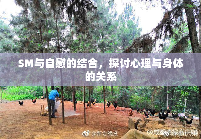 SM与自慰的结合，探讨心理与身体的关系