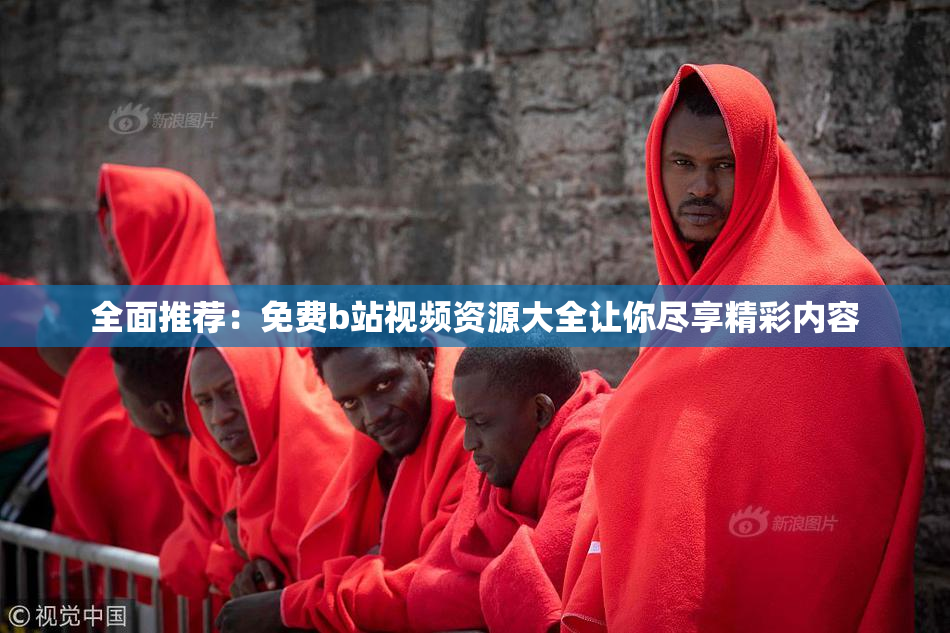 全面推荐：免费b站视频资源大全让你尽享精彩内容