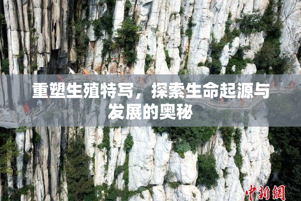 重塑生殖特写，探索生命起源与发展的奥秘