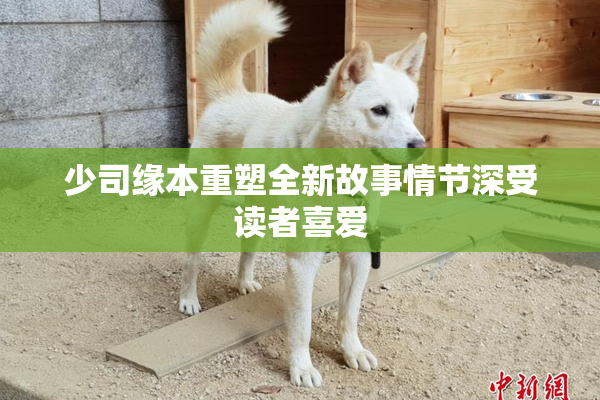 少司缘本重塑全新故事情节深受读者喜爱