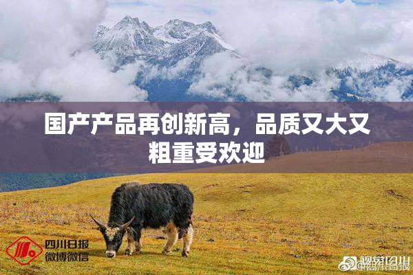 国产产品再创新高，品质又大又粗重受欢迎