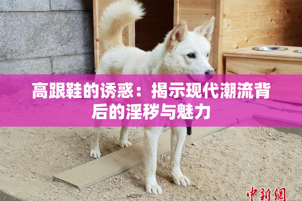 高跟鞋的诱惑：揭示现代潮流背后的淫秽与魅力