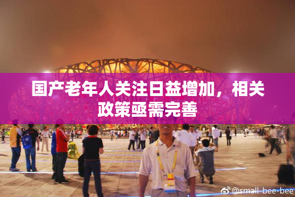 国产老年人关注日益增加，相关政策亟需完善