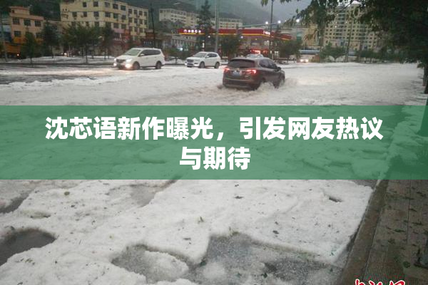 沈芯语新作曝光，引发网友热议与期待