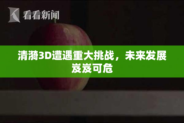 清漪3D遭遇重大挑战，未来发展岌岌可危