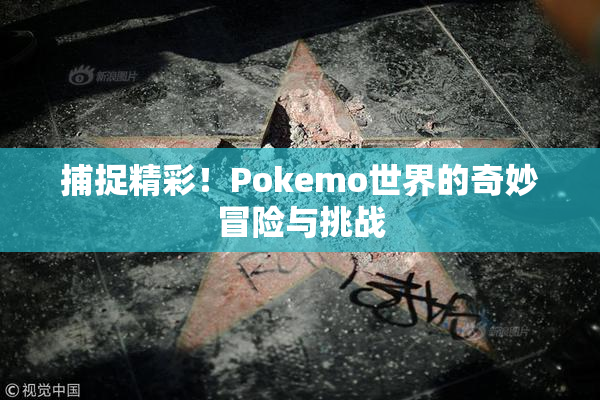 捕捉精彩！Pokemo世界的奇妙冒险与挑战