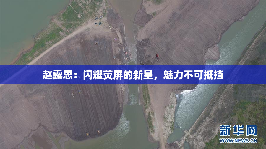赵露思：闪耀荧屏的新星，魅力不可抵挡