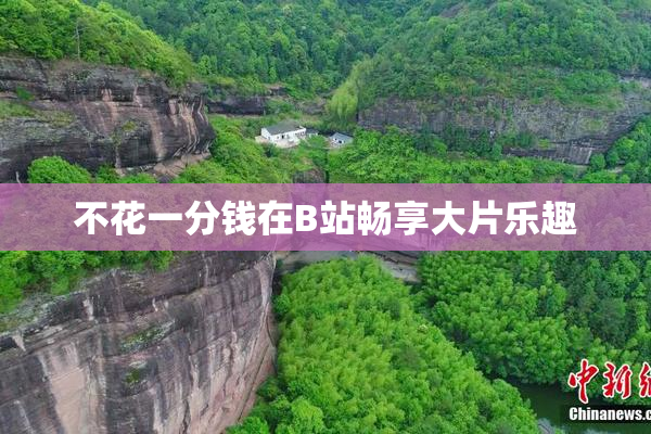 不花一分钱在B站畅享大片乐趣