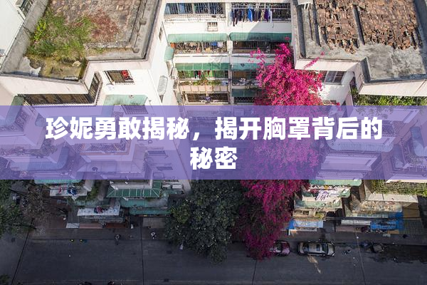 珍妮勇敢揭秘，揭开胸罩背后的秘密