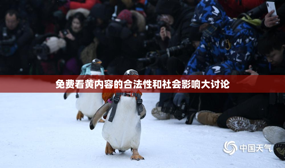免费看黄内容的合法性和社会影响大讨论