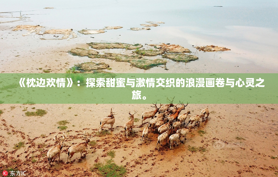 《枕边欢情》：探索甜蜜与激情交织的浪漫画卷与心灵之旅。