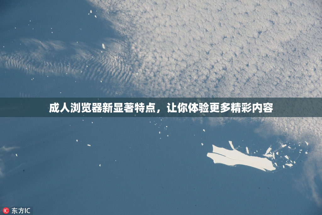 成人浏览器新显著特点，让你体验更多精彩内容