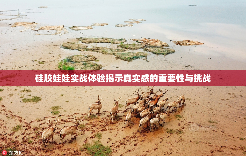 硅胶娃娃实战体验揭示真实感的重要性与挑战