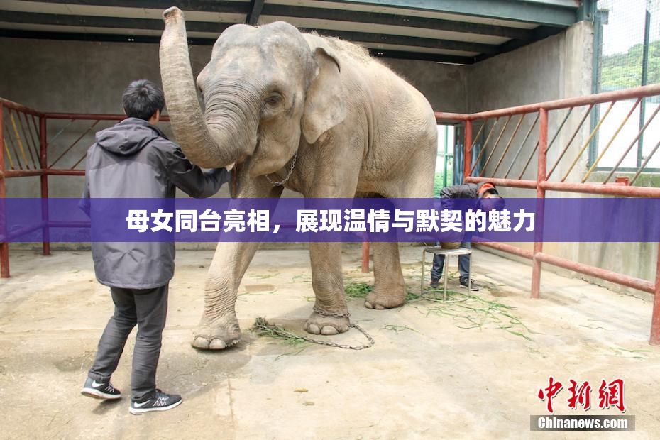 母女同台亮相，展现温情与默契的魅力