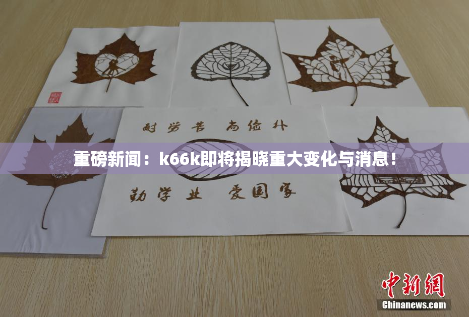重磅新闻：k66k即将揭晓重大变化与消息！