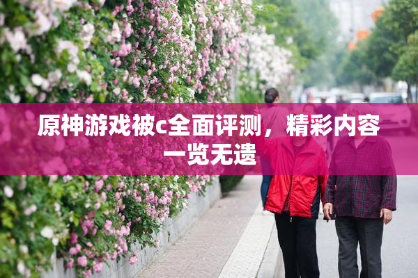 原神游戏被c全面评测，精彩内容一览无遗