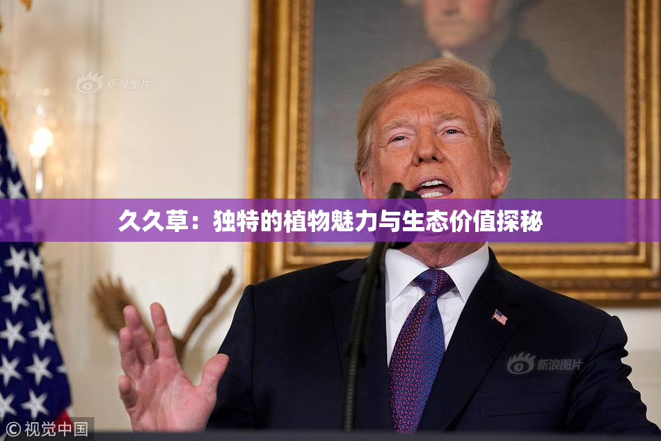 久久草：独特的植物魅力与生态价值探秘