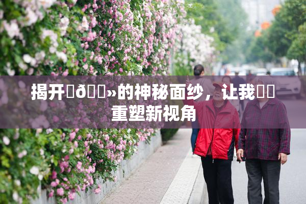 揭开‌🐻的神秘面纱，让我❌‌重塑新视角