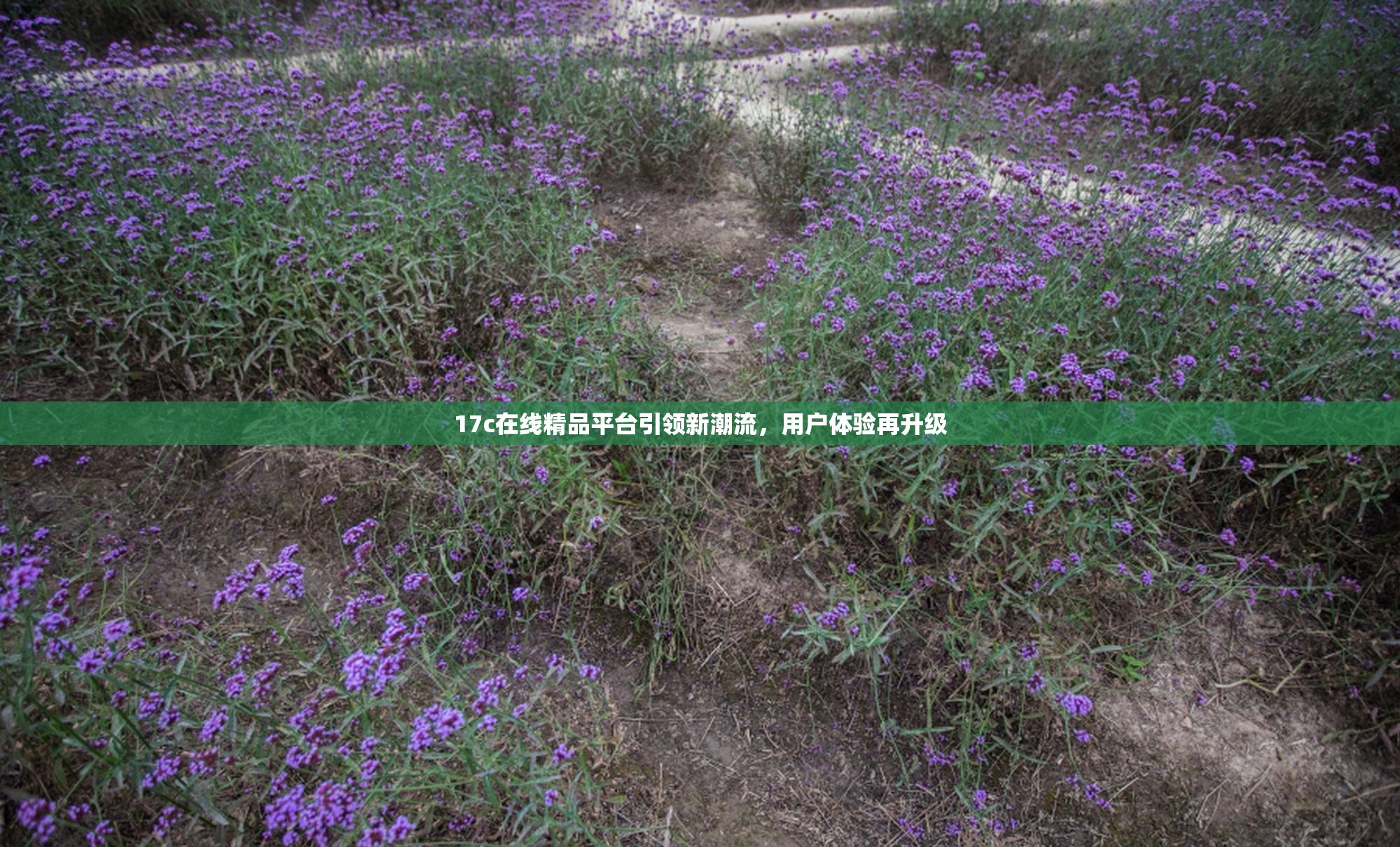 17c在线精品平台引领新潮流，用户体验再升级