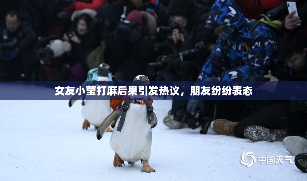 女友小莹打麻后果引发热议，朋友纷纷表态