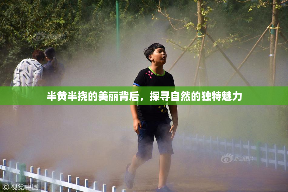 半黄半挠的美丽背后，探寻自然的独特魅力