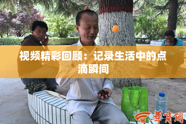 视频精彩回顾：记录生活中的点滴瞬间