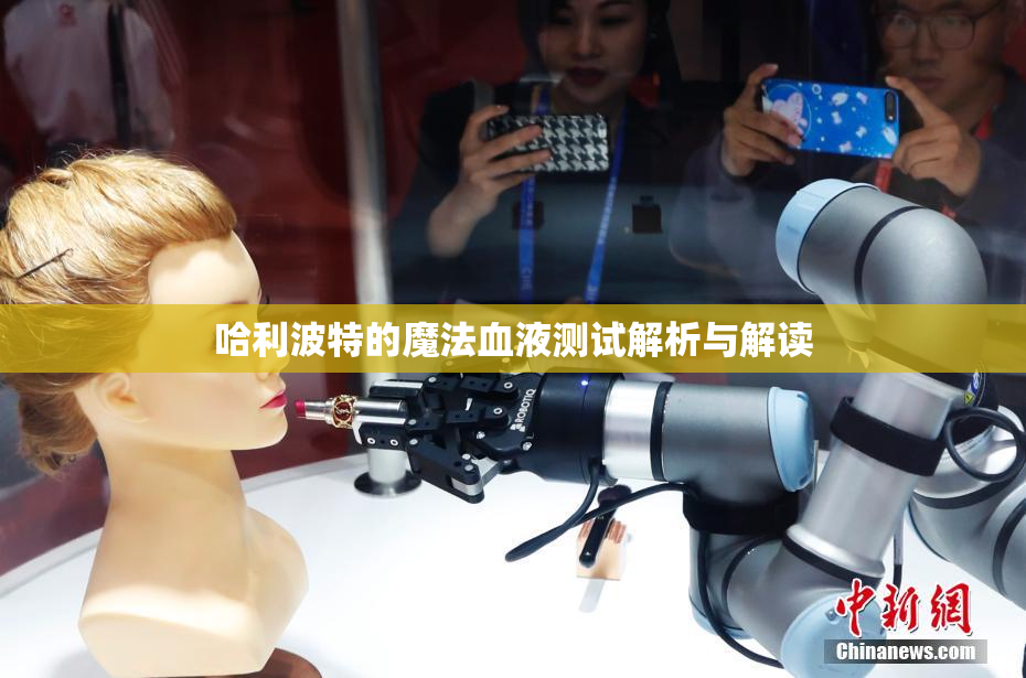 哈利波特的魔法血液测试解析与解读