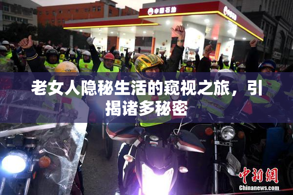老女人隐秘生活的窥视之旅，引揭诸多秘密