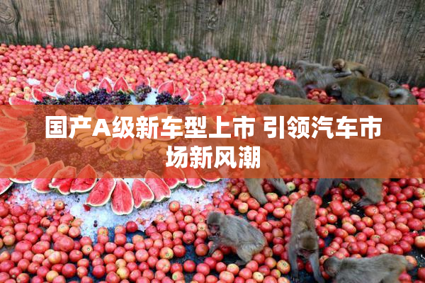 国产A级新车型上市 引领汽车市场新风潮