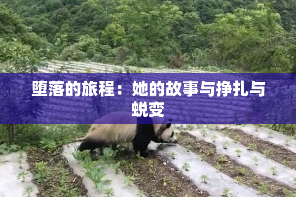 堕落的旅程：她的故事与挣扎与蜕变