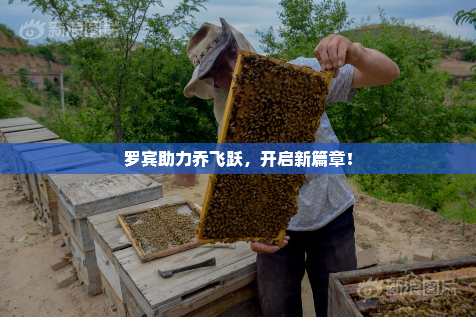 罗宾助力乔飞跃，开启新篇章！
