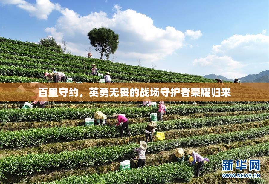 百里守约，英勇无畏的战场守护者荣耀归来