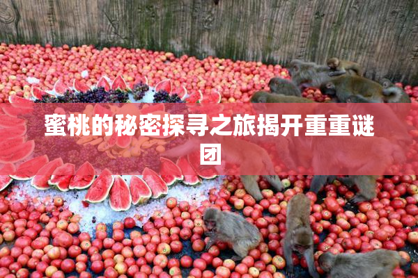 蜜桃的秘密探寻之旅揭开重重谜团