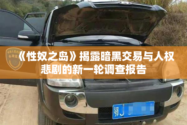 《性奴之岛》揭露暗黑交易与人权悲剧的新一轮调查报告