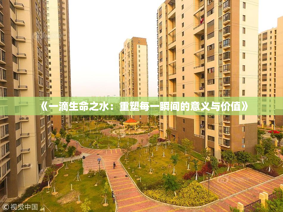 《一滴生命之水：重塑每一瞬间的意义与价值》