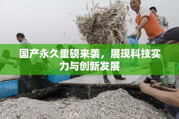 国产永久重磅来袭，展现科技实力与创新发展