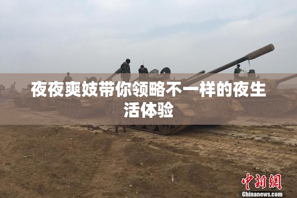 夜夜爽妓带你领略不一样的夜生活体验