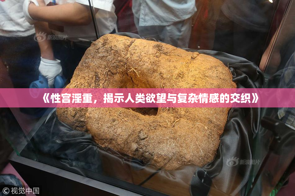 《性宫淫重，揭示人类欲望与复杂情感的交织》