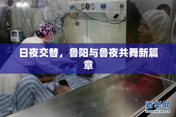 日夜交替，鲁阳与鲁夜共舞新篇章