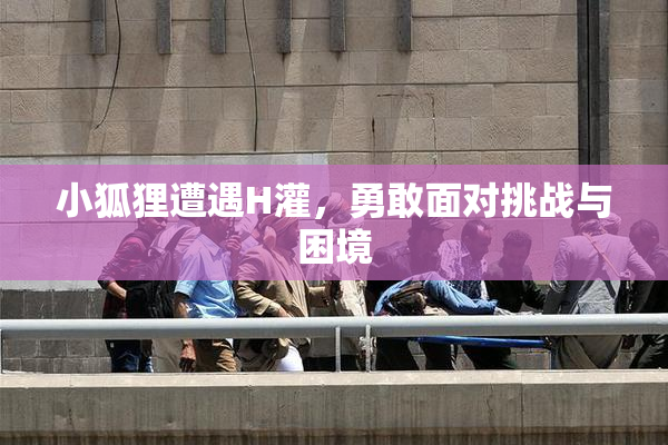 小狐狸遭遇H灌，勇敢面对挑战与困境