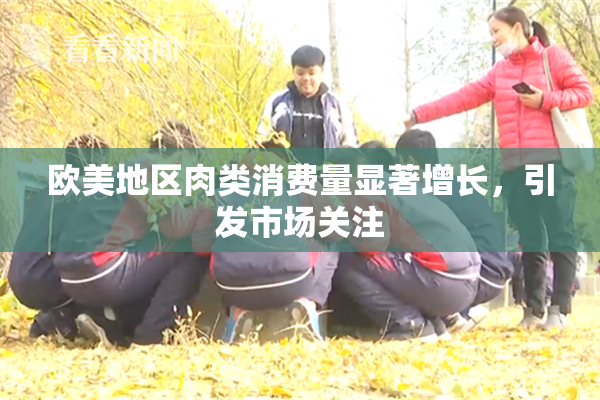 欧美地区肉类消费量显著增长，引发市场关注