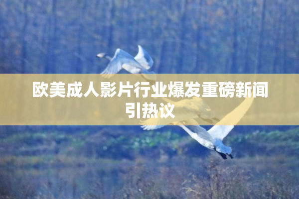 欧美成人影片行业爆发重磅新闻引热议