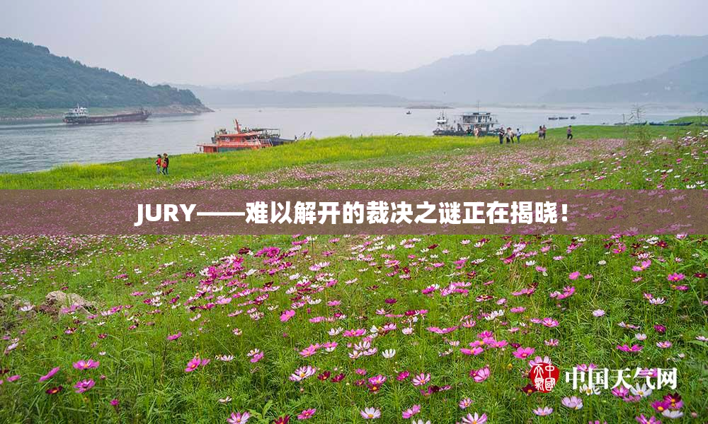 JURY——难以解开的裁决之谜正在揭晓！